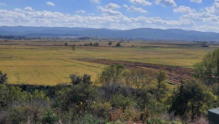 Büyük İskender’in en önemli savaşlarından olan Granikos Savaşı Alanı keşfedildi