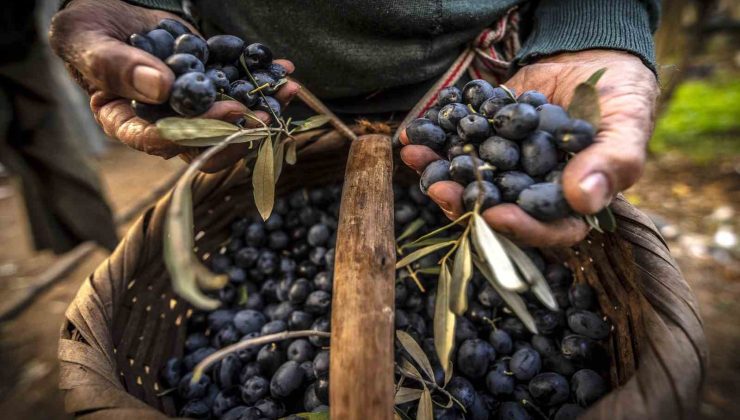 Gemlik’in en güzel fotoğraflarını belli oldu