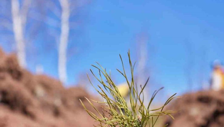 Uludağ Elektrik dijitalleşme çalışmalarıyla doğaya katkı sağlıyor