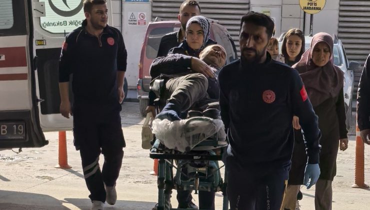 Budadığı ağaçtan düşen şahıs yaralandı