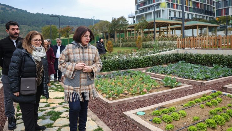 Çocuk Tarım Parkı hizmete açılmaya hazırlanıyor