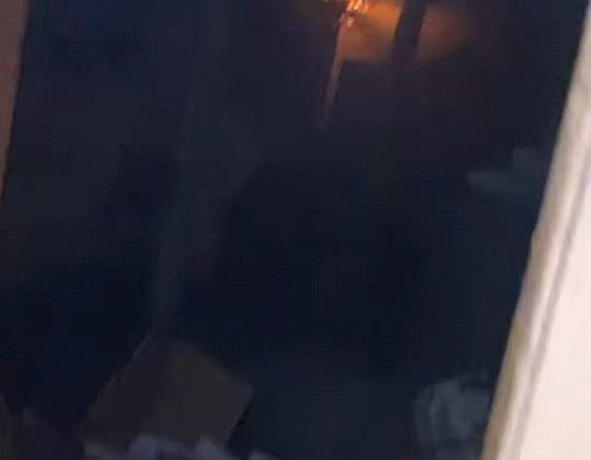 Hayvan çiftliğinde çıkan yangında 10 tavuk 100 civciv telef oldu