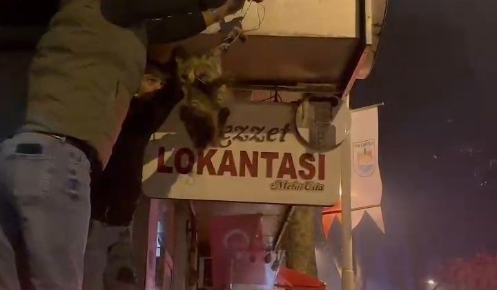 İznik’te kablolara dolanan kedi kurtarıldı