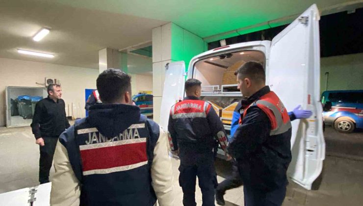 Ormanlık alanda korkunç cinayet: Dili ve kulakları kesildi