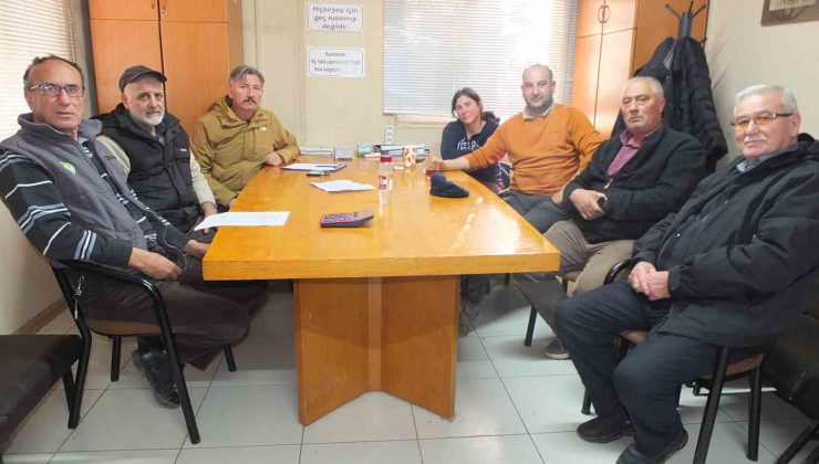 Tariş’in zeytinyağı fiyatlarına üreticiden tepki