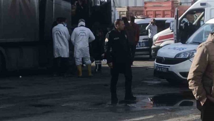 Tır kabininde bir kişi ölü bulundu