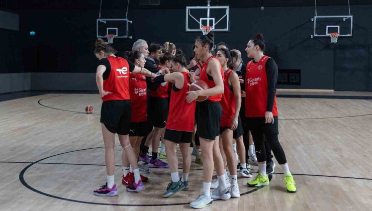 Günler kala Türkiye-İzlanda maçı biletleri tükendi