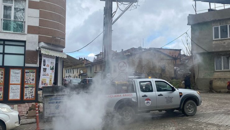 Söğüt Belediyesi’nden sinek ve larva ilaçlama atağı