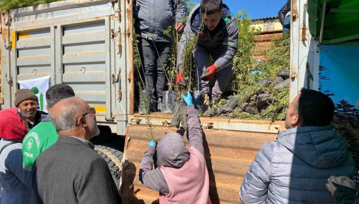 Ayvacık’ta 3 bin fidan dağıtıldı