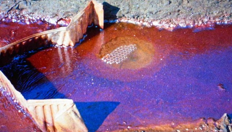 “Bu son şansımız mı?” gösterim programı Salt Beyoğlu’nda gerçekleştirilecek