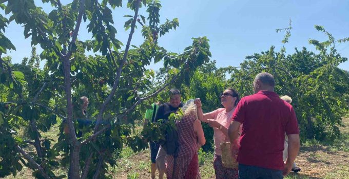 Yeşilçam Yıldızı Savaş’tan nostaljik ziyaret: Geleneksel kıyafetiyle kiraz topladı
