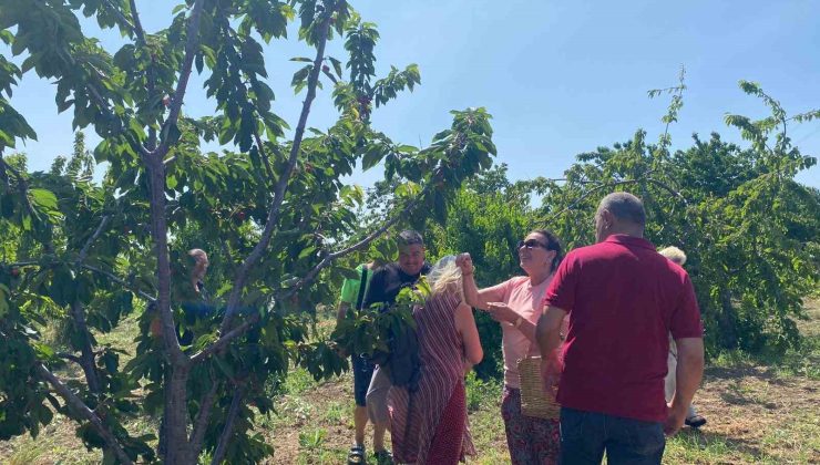Yeşilçam Yıldızı Savaş’tan nostaljik ziyaret: Geleneksel kıyafetiyle kiraz topladı