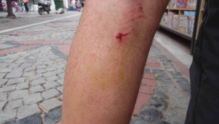 Başıboş 8 köpek, köpeğini gezdiren vatandaşa saldırdı