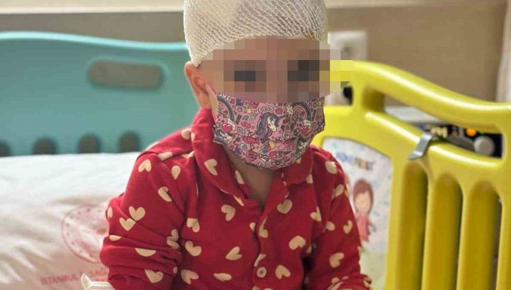 Kadıköy’de Anabilim Koleji Anaokulu’nda ihmale 3 bin lira ceza: Aile isyan etti