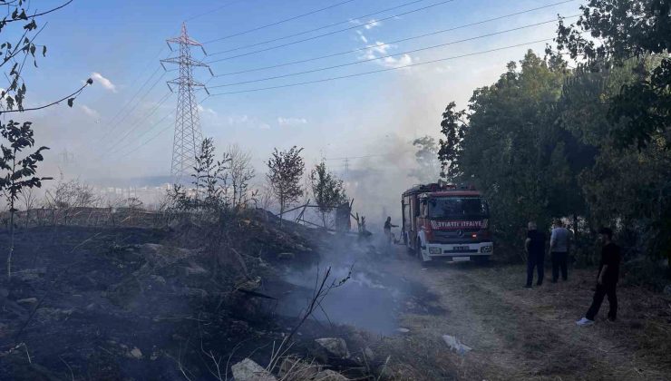 Esenyurt’ta otluk alanda çıkan yangın söndürüldü