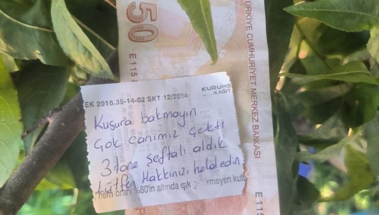 İnsanlık ölmemiş dedirten hareket