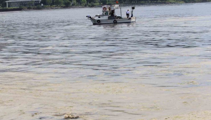 Marmara’nın küçük balıkçılarına “müsilaj” desteği geliyor