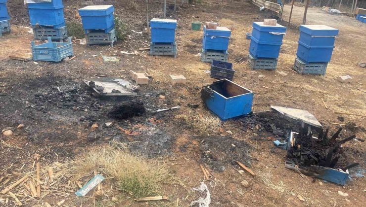 Milyonlarcası ateşe uçtu bir daha geri dönmedi