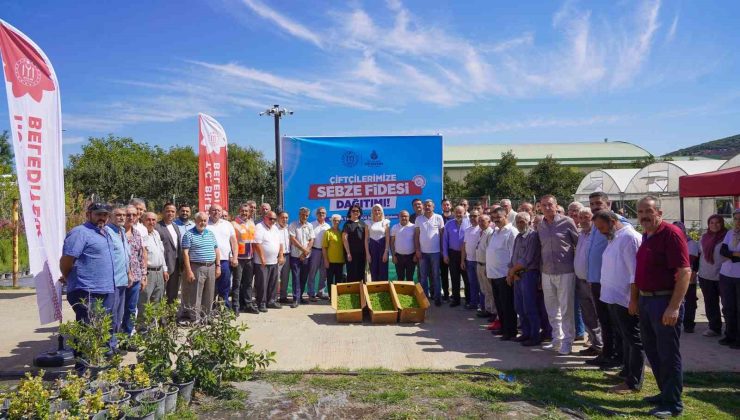77 bin 400 fide toprakla buluşmak üzere çiftçilere dağıtıldı