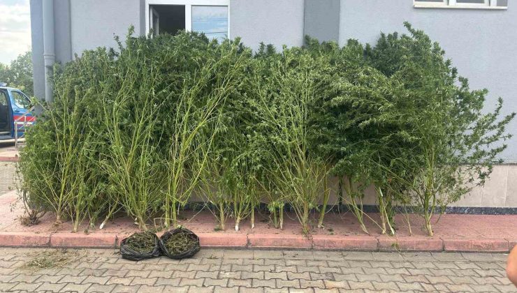 Bursa’da uyuşturucu operasyonu