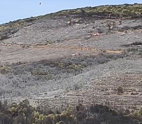 Bursa’daki orman yangını söndürüldü