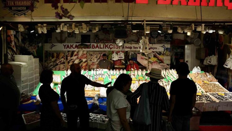 İstanbul’da balık sezonu hamsi ve istavrit bolluğuyla başladı