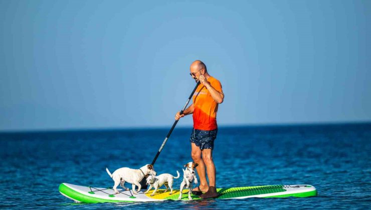 Köpekleriyle deniz keyfi