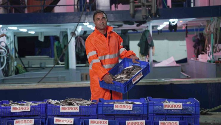 Migros, tüketicilere 15 bin ton taze balık ulaştıracak