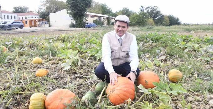 Osmangazi Belediyesi ata tohumlarını geleceğe taşıyor