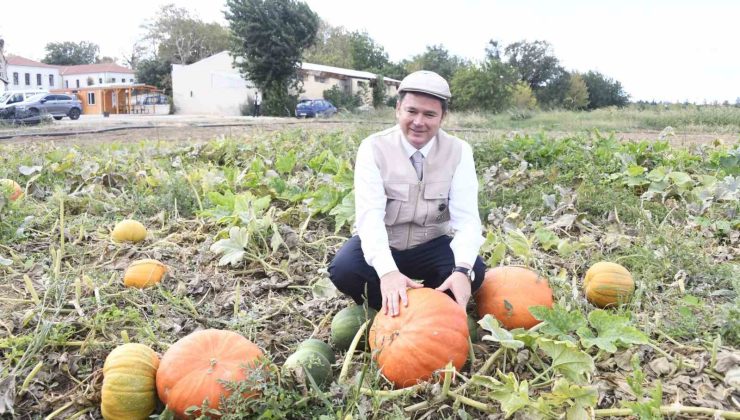 Osmangazi Belediyesi ata tohumlarını geleceğe taşıyor