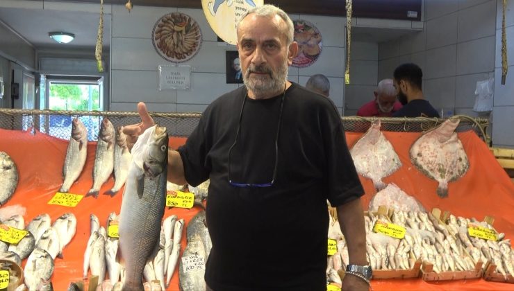 Sezon açıldı, tezgahlarda hamsi ve istavrit bolluğu