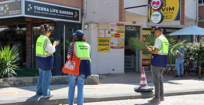 Yalova’da yapı envanteri tespit çalışmaları başladı