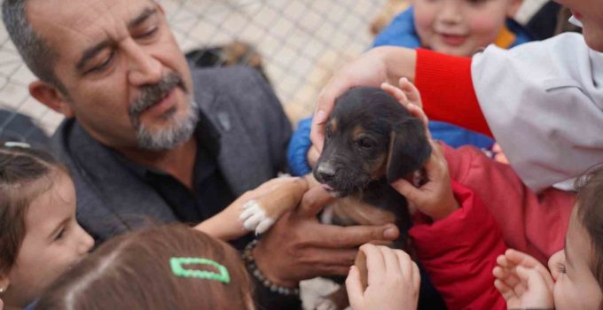 600 öğrenci barınaktaki can dostlarını ziyaret etti