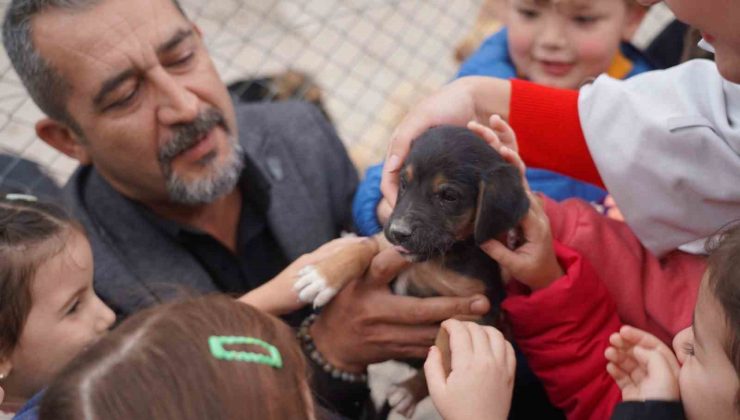 600 öğrenci barınaktaki can dostlarını ziyaret etti
