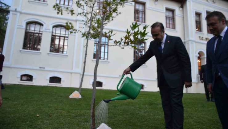 Bakan Kacır, 2023 yılında diktiği çınar ağacını suladı