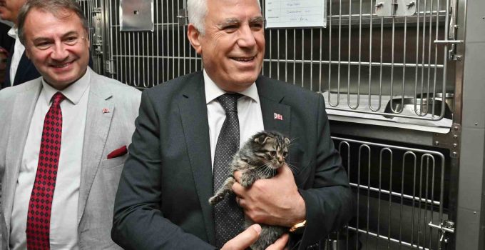 Büyükşehir’den can dostlara şefkat eli