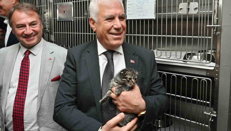 Büyükşehir’den can dostlara şefkat eli