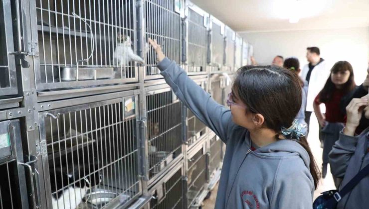 Gaziosmanpaşa’da Dünya Hayvanları Koruma Günü’ne özel etkinlik