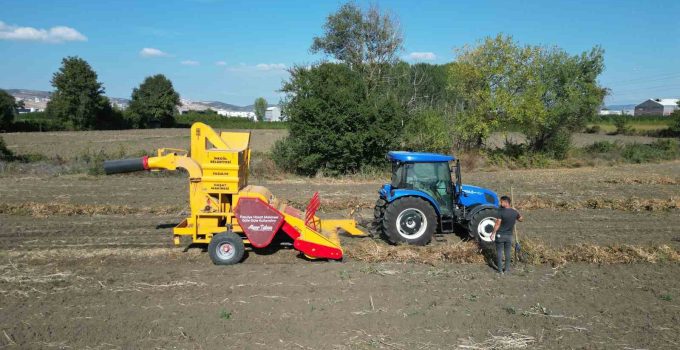 İnegöl’ün cerrah kuru fasulyesinde hasat zamanı