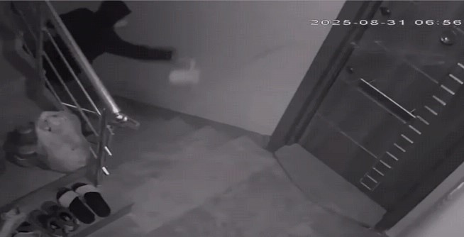 Komşularını canından bezdirdi