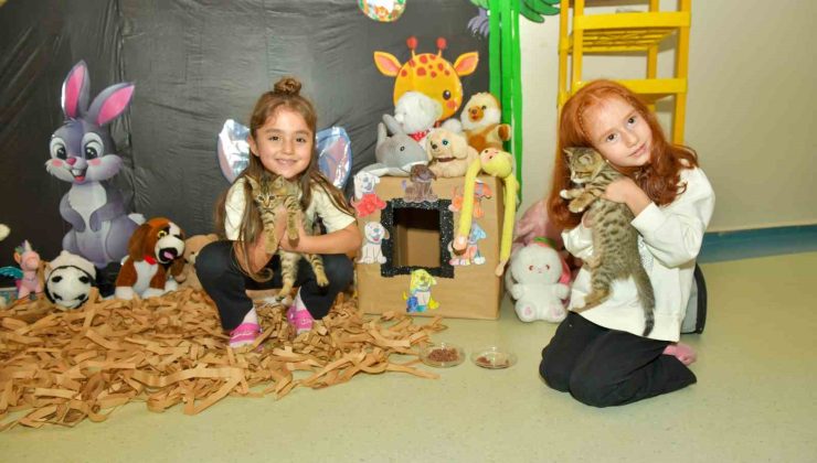 Minik kalplerden büyük destek: Esenyurtlu çocuklardan barınağa mama bağışı