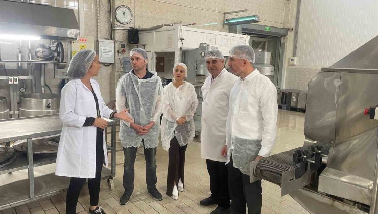 TKDK, ’Kardelen örnek niteliği taşıyor”