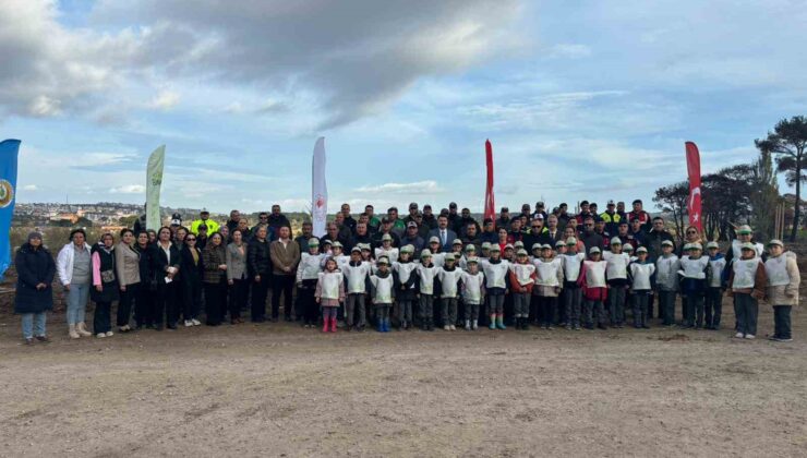 Ayvacık’ta 1500 Fıstık Çamı Fidanı Toprakla Buluşturuldu