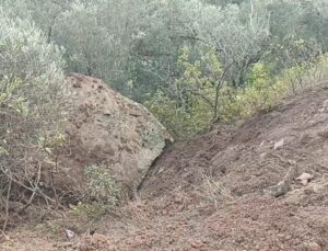 Ayvacık’ta düşen kaya parçası toprak kaymasına sebep oldu
