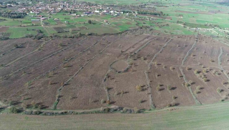 Biga’da proje çerçevesinde 2 yılda 845 dekar mera alanı ıslah edildi