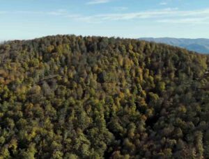 Biga’da sonbahar renklerine bürünen ormanlar havadan görüntülendi