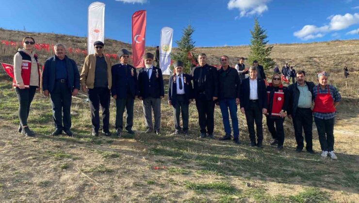 Bozüyük’te şehitler anısına fidan dikimi