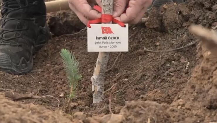 Bursa’da şehitler anısına fidan dikildi