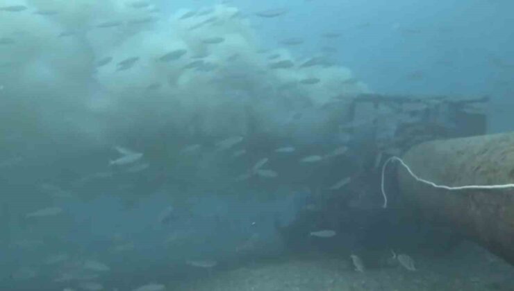 Çanakkale’de boğaza dökülen atık su ile karşılaşan dalgıç, o anları su altı kamerasıyla kaydetti