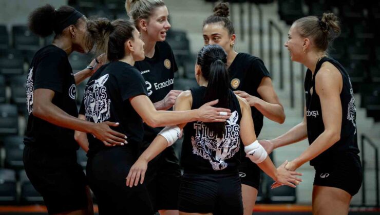 Eczacıbaşı Dynavit, Şampiyonlar Ligi sahnesinde